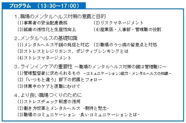 メンタルプログラム概要.jpg